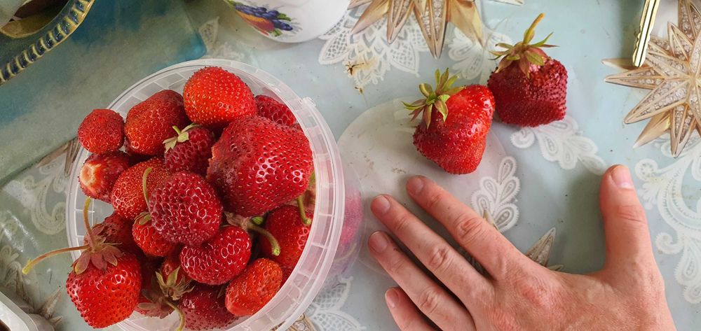 Продам дачу 18 соток