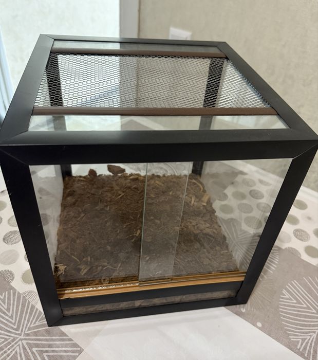 Терратиум стеклянный