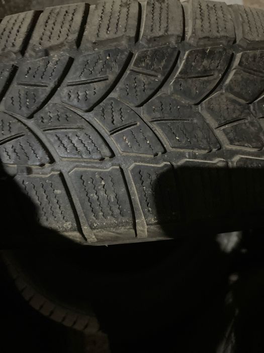 Шиналар бар ред бар