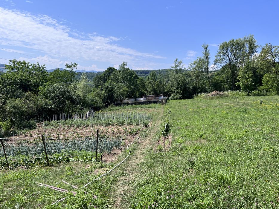 Teren intravilan Lunca