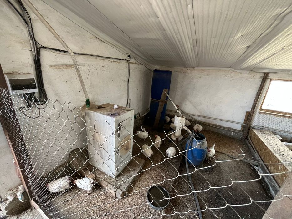 мини фабрика можно  как КХ