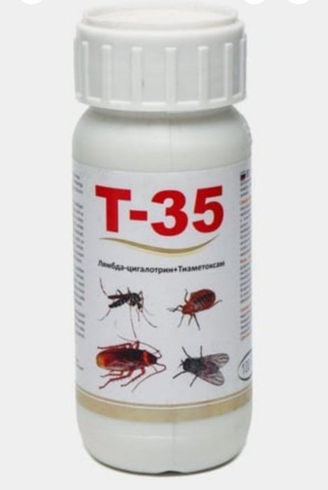 Klopa,Tarakan,Pashsha dori