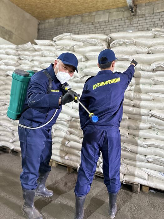 Дезинфекция квартир, домов, кафе