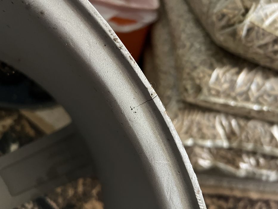 Джанти Rotor 20’