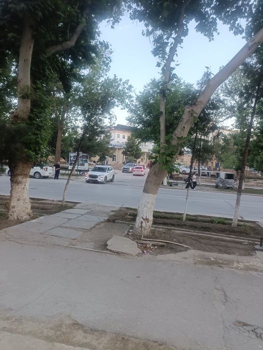 Apteka va klinikaga ijaraga beriladi