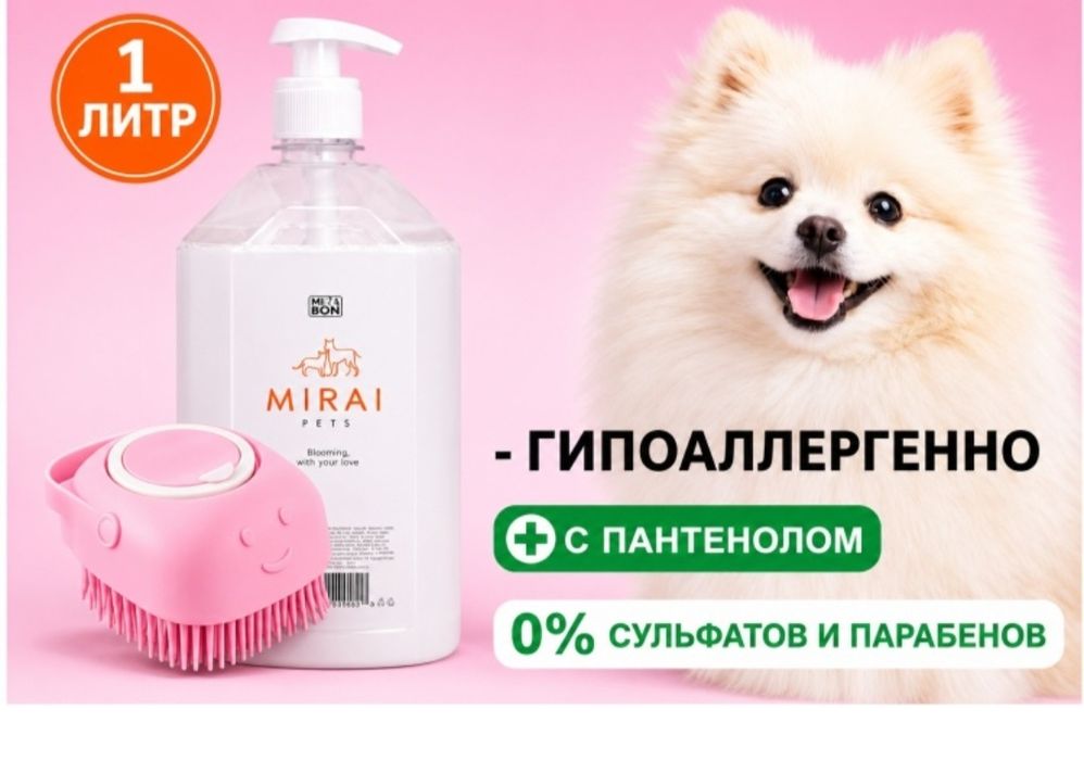 Отдадим кошку в добрые руки