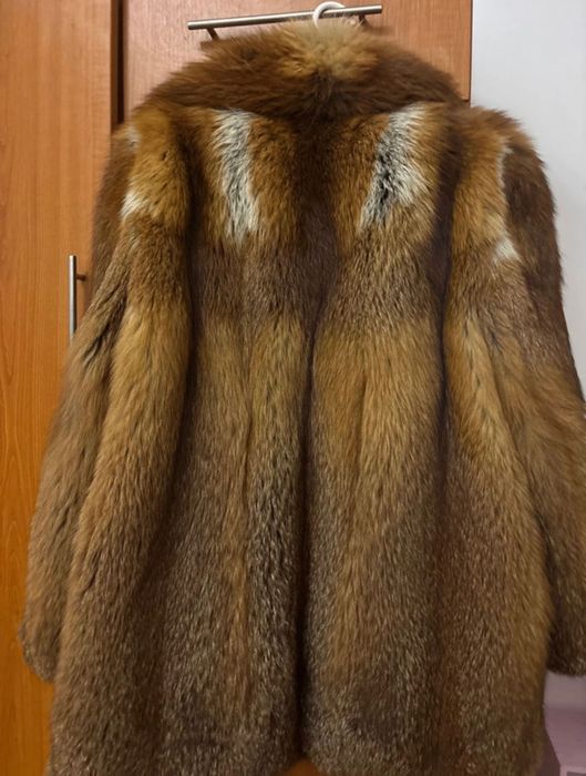 Haină de blană de vulpe.(Red Fox)