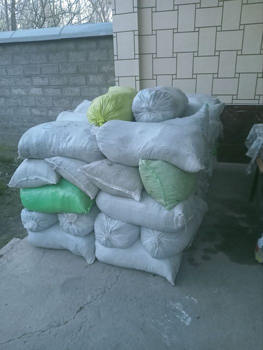 Chirigan va qoplangan goʻng