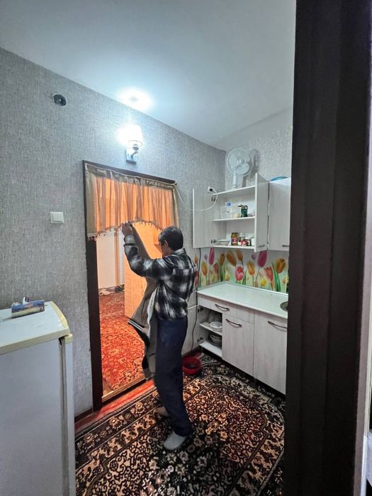 qoraqamish alo kurug da