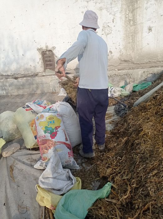 Yem-xashak,mol avqot