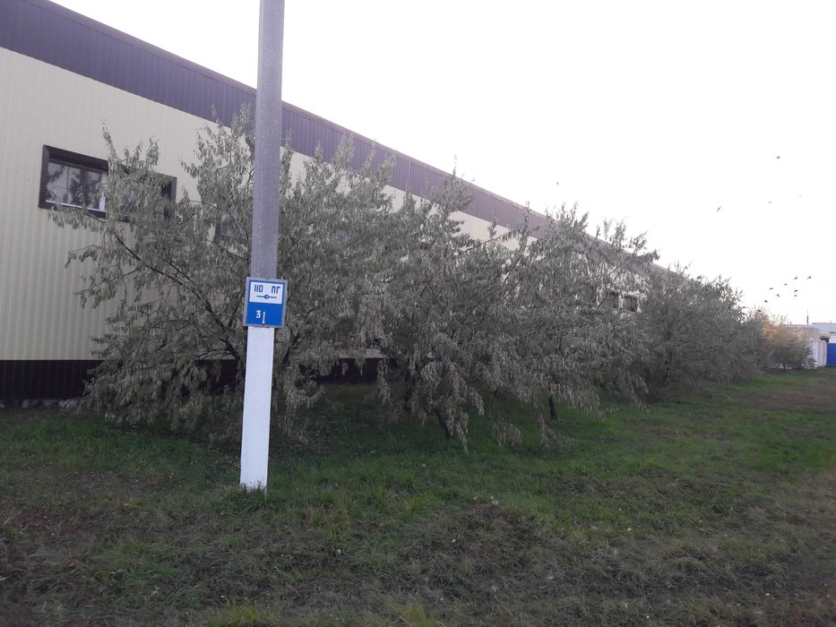 продажа производственного комплекса