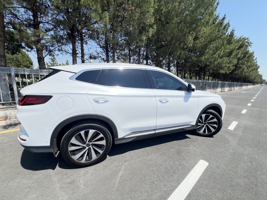 Byd Song Plus Champion