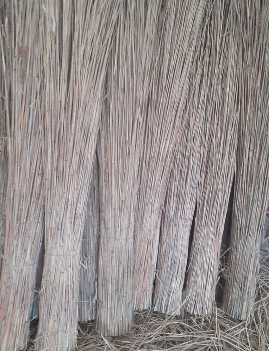 Amenajări zone turistice, STUF Nou 2024 TRESTIE, acoperiri cu stuf