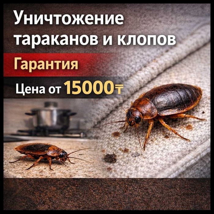 СЭС: Уничтожение тараканов, клопов, блох с гарантией