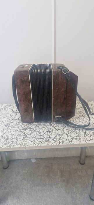 Баян - гормонь, гормошка