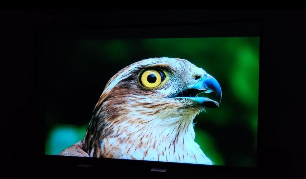 Проектор Everycom Q10 w MAX