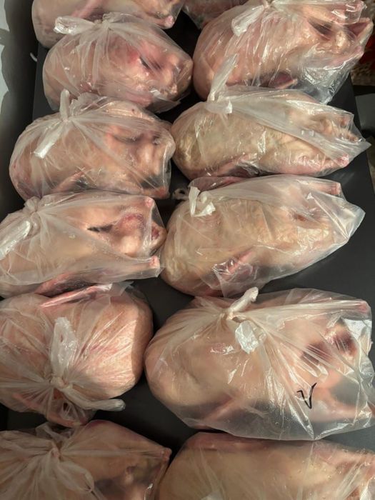 Продам домашних  гусей