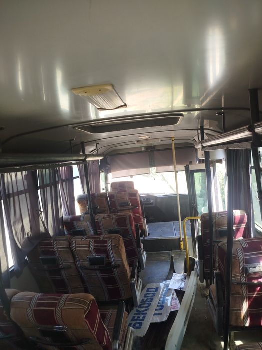 Isuzu avtobus kuzuf