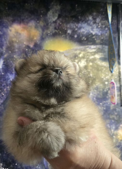 Предлагаю крутого мальчика