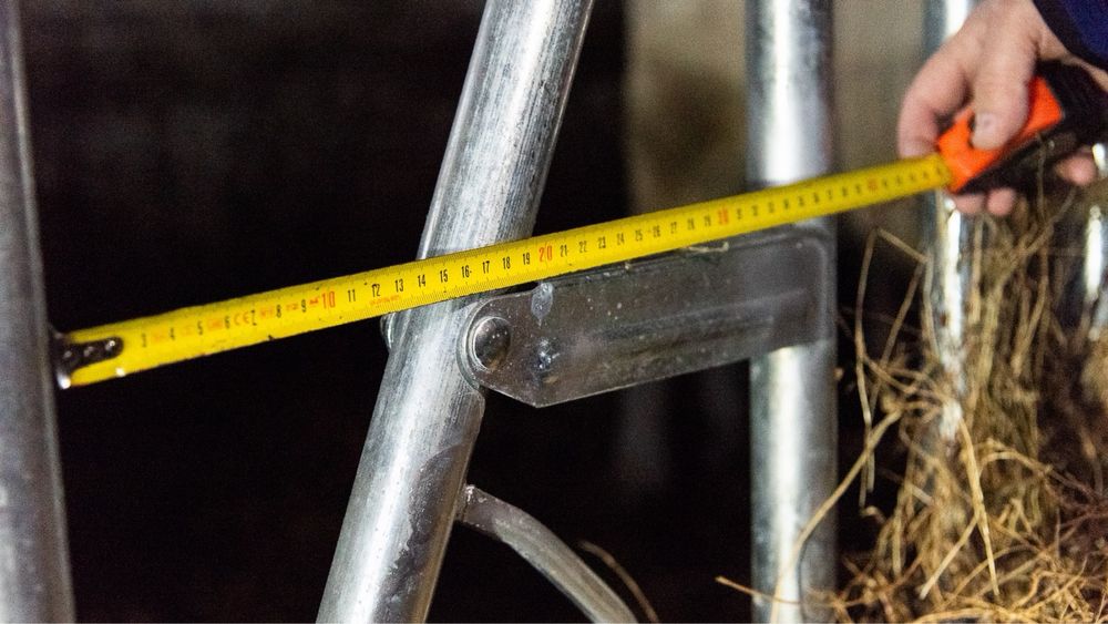 Front de Furajare Bovine