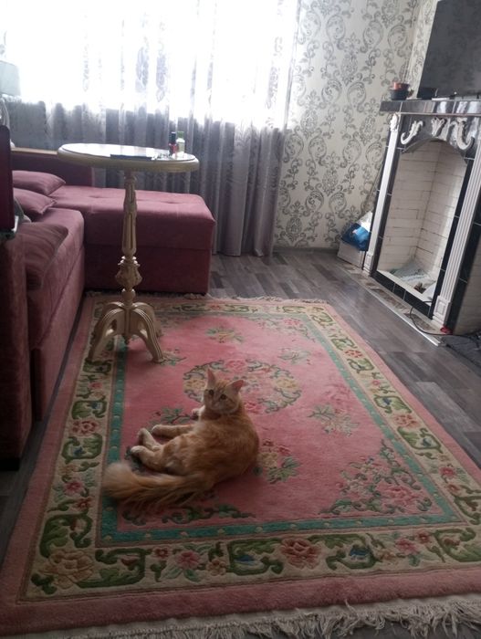 РОСКОШНЫЙ, привезли из Вьетнама из 100% НОВОЗЕЛАНДСКОЙ шерсти ,2м/1м40