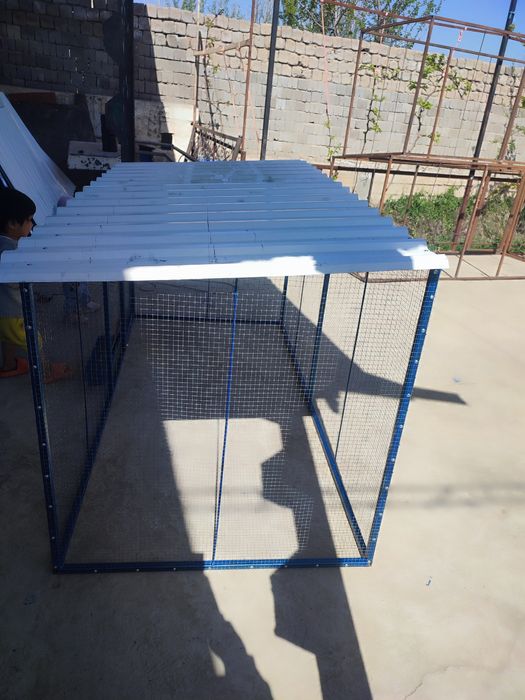 Товук катак сотилади сифатига кафолат берамиз вилоятларгахам доставка