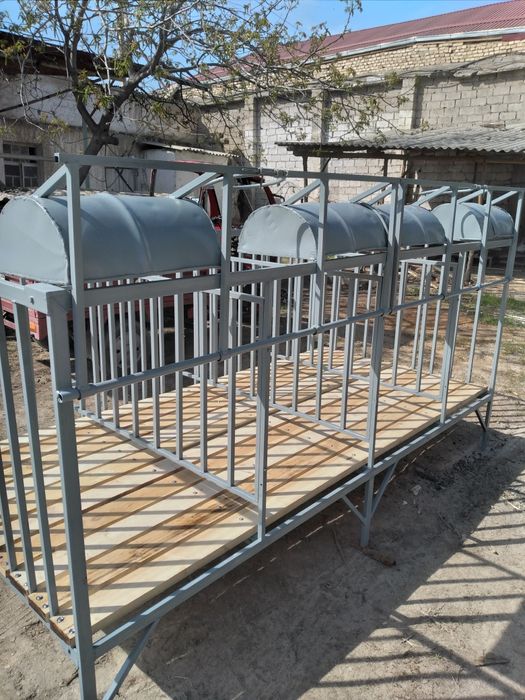 Qo'y katak taxta polik