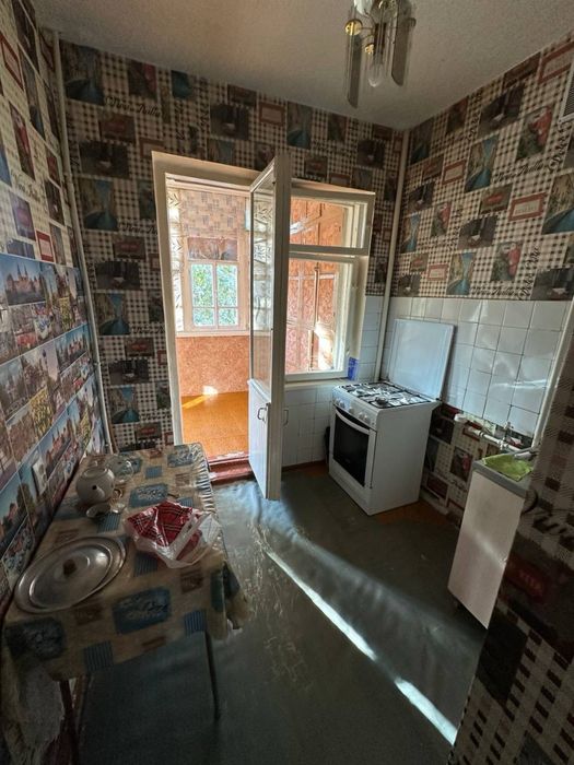 Qora qamish 2/4 , 3/3/4