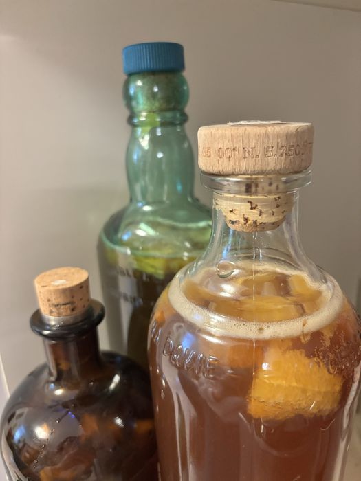 Kombucha SCOBY  kit