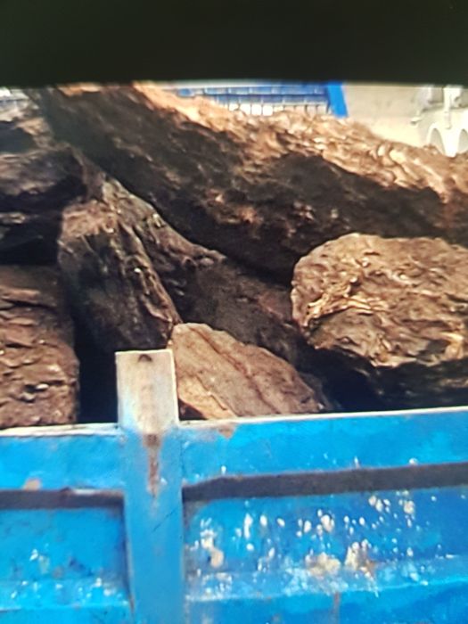 Cărbune lignit..centrale termice