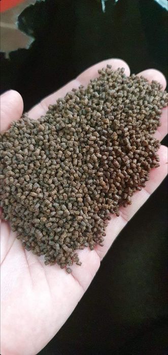 Nada faina de peste pelete crap