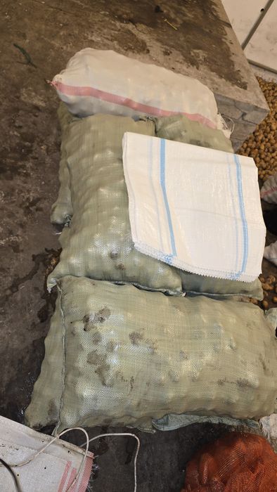 Картошка тендерная