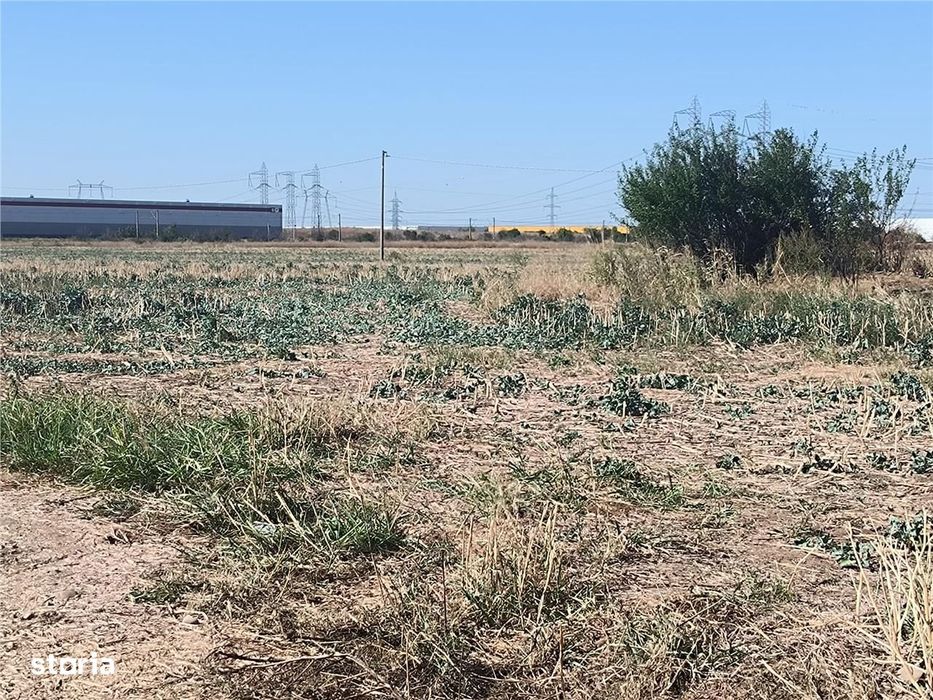 Teren Domnesti,iesire rapida A1 si Centura Bucuresti,zona Divertland s