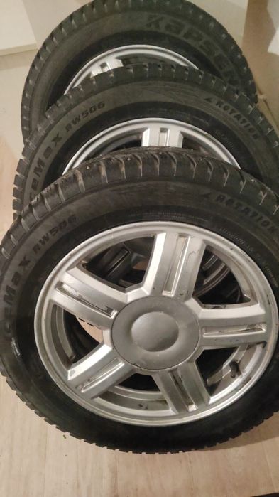 Торус қысқы дөңгелек сатылады шипы