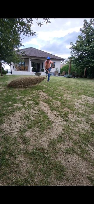 Întreținere gazon ( tuns , scarificare , îngrășământ )