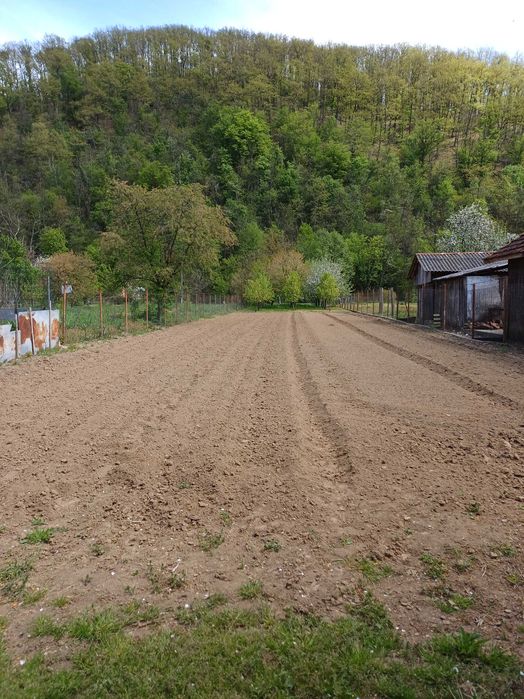 Loc de casă cu grădină, loc. Toc, jud. Arad