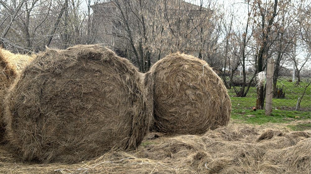 Сено 4 шт 12 тыс