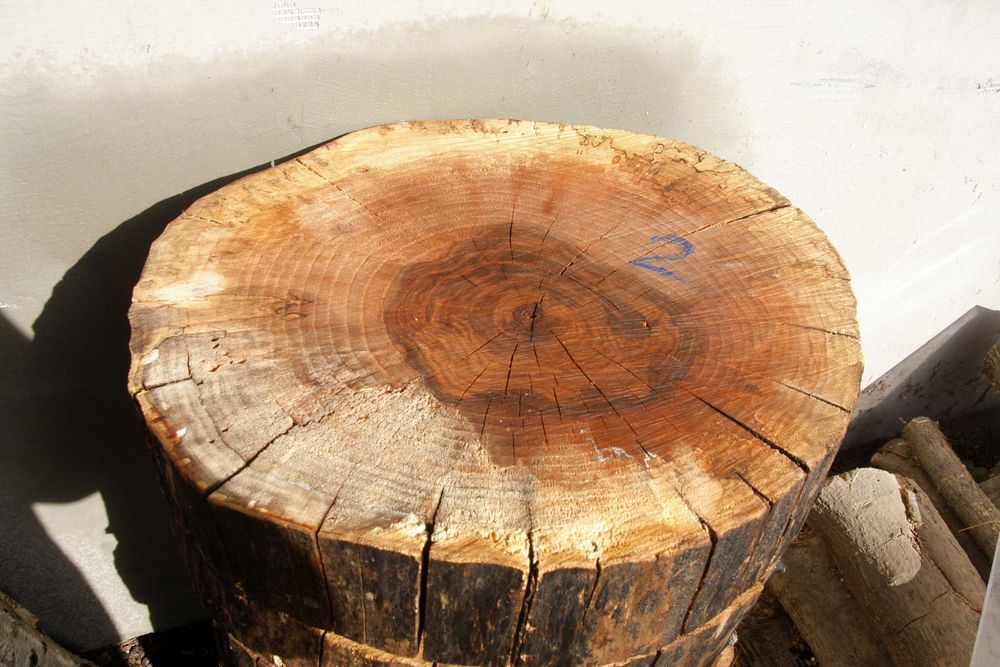 ОРЕХ шайби 50 см сухи плот масичка рустик шайба СОФИЯ