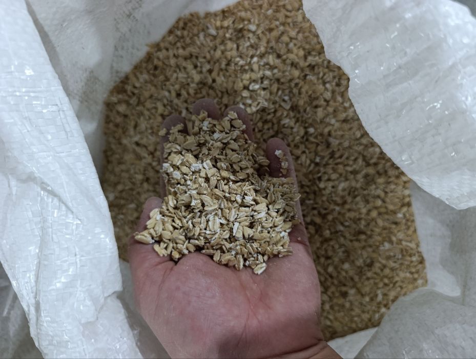 Геркулес-Afsiyanka