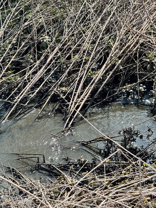ТОП!!! Земеделска земя от собственик на гл.път Карлово-Бургас