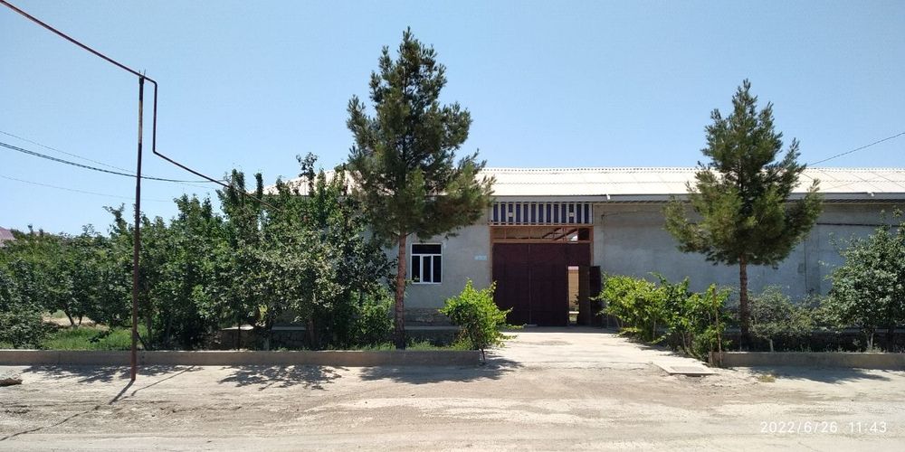 Umid posyolkadan 6 sotkli uglavoy hovli sotiladi