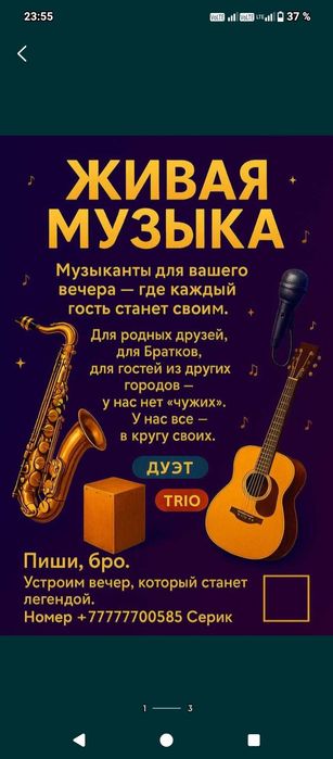 Музыканты на любой заказ.Дуэт,Трио Квартет.