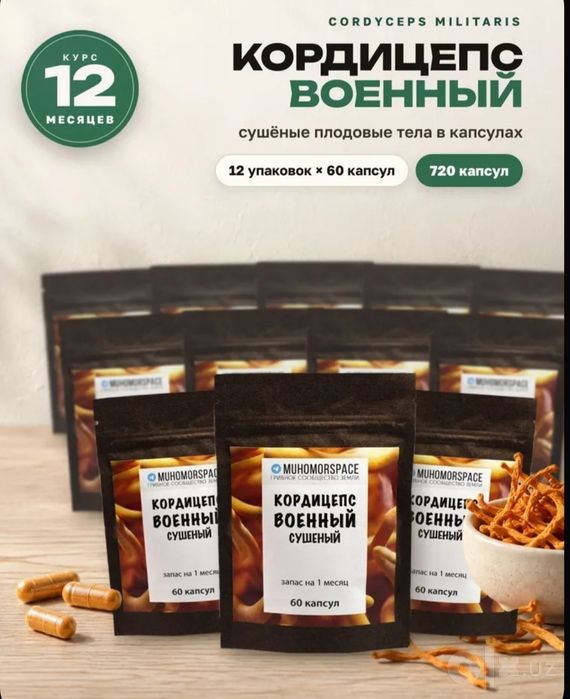 Кордицепс военный в капсулах весь курс