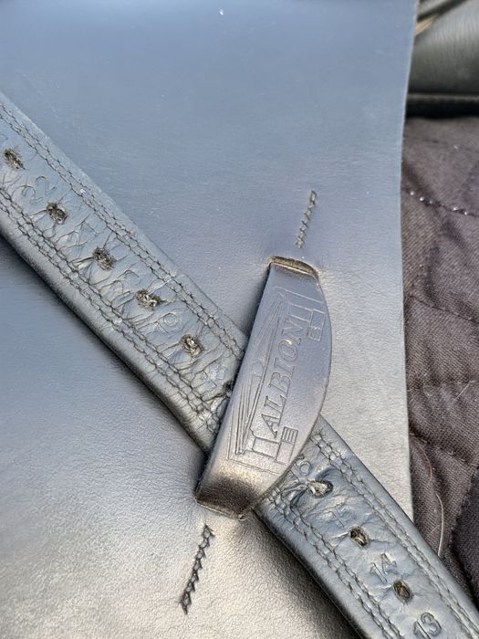 Sa /sei/ echitatie calarie Albion noua  cai