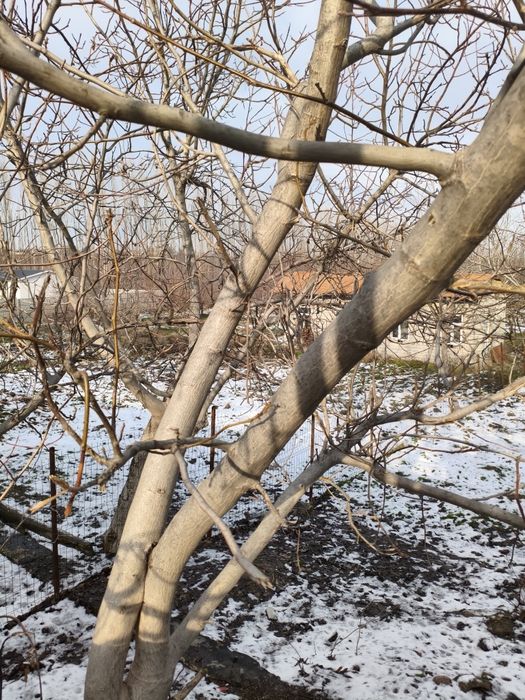 Ttz metro yonida yer sotiladi 5 so'tix