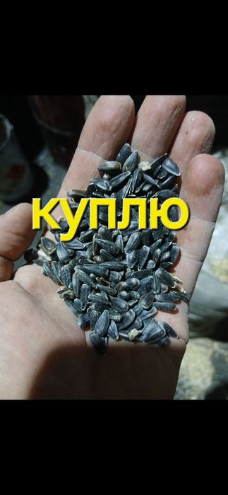 Подсолнух,лен в мешках