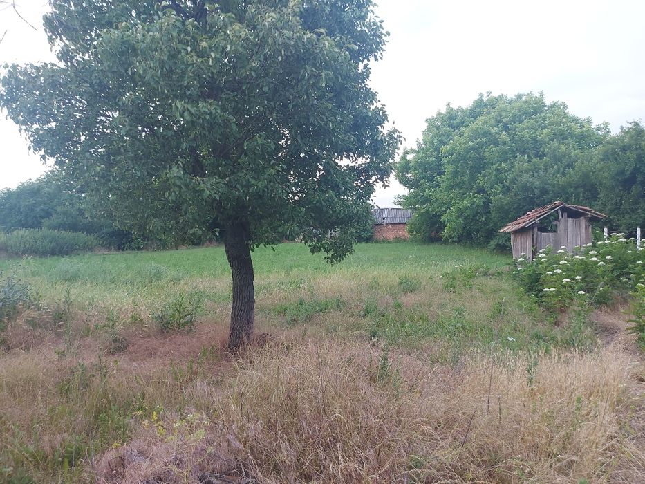 Продава се Къща в с. Раковски, Област Разград - 600 кв.м за 34 €/кв.м - Снимка #1