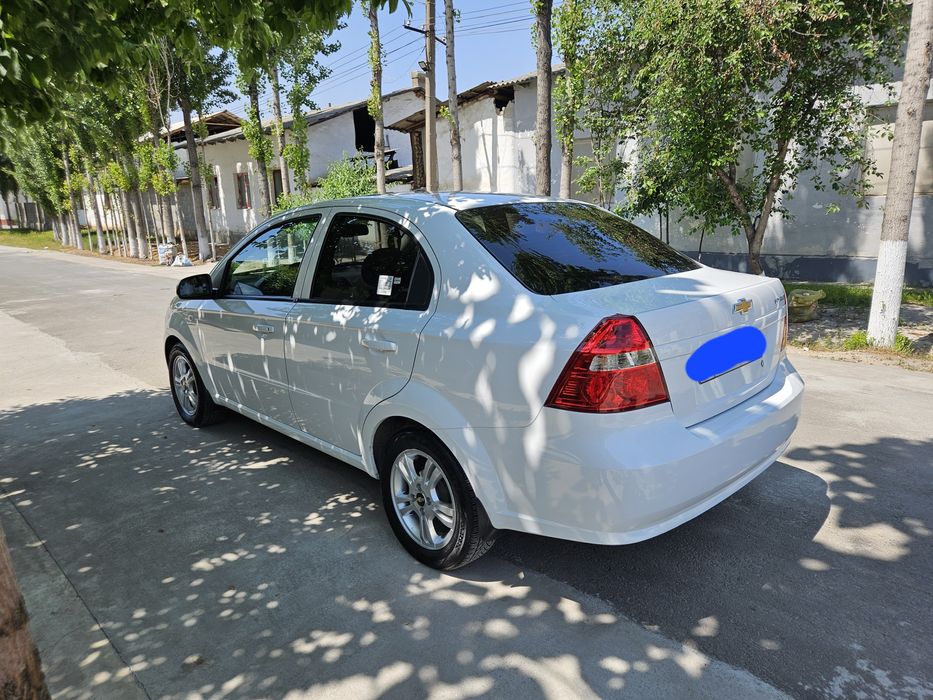 Other Nexia 2019 — 5