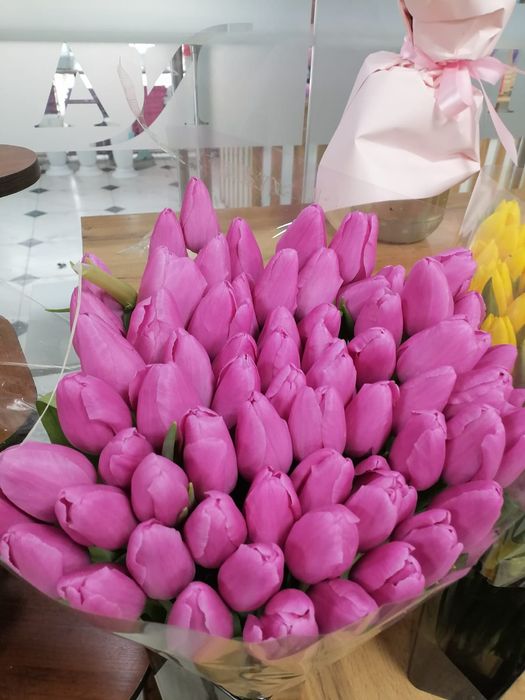 Голландские тюльпаны Оптом и В розницу!