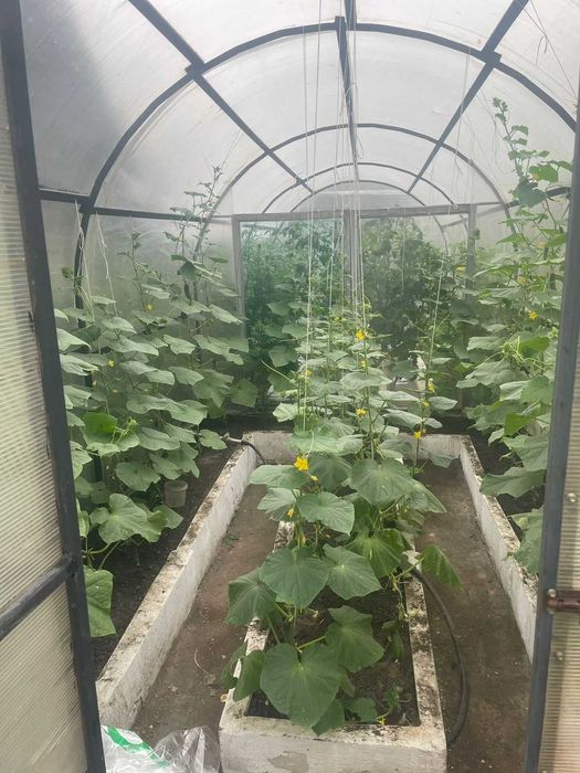 Продается дом в Жайлау